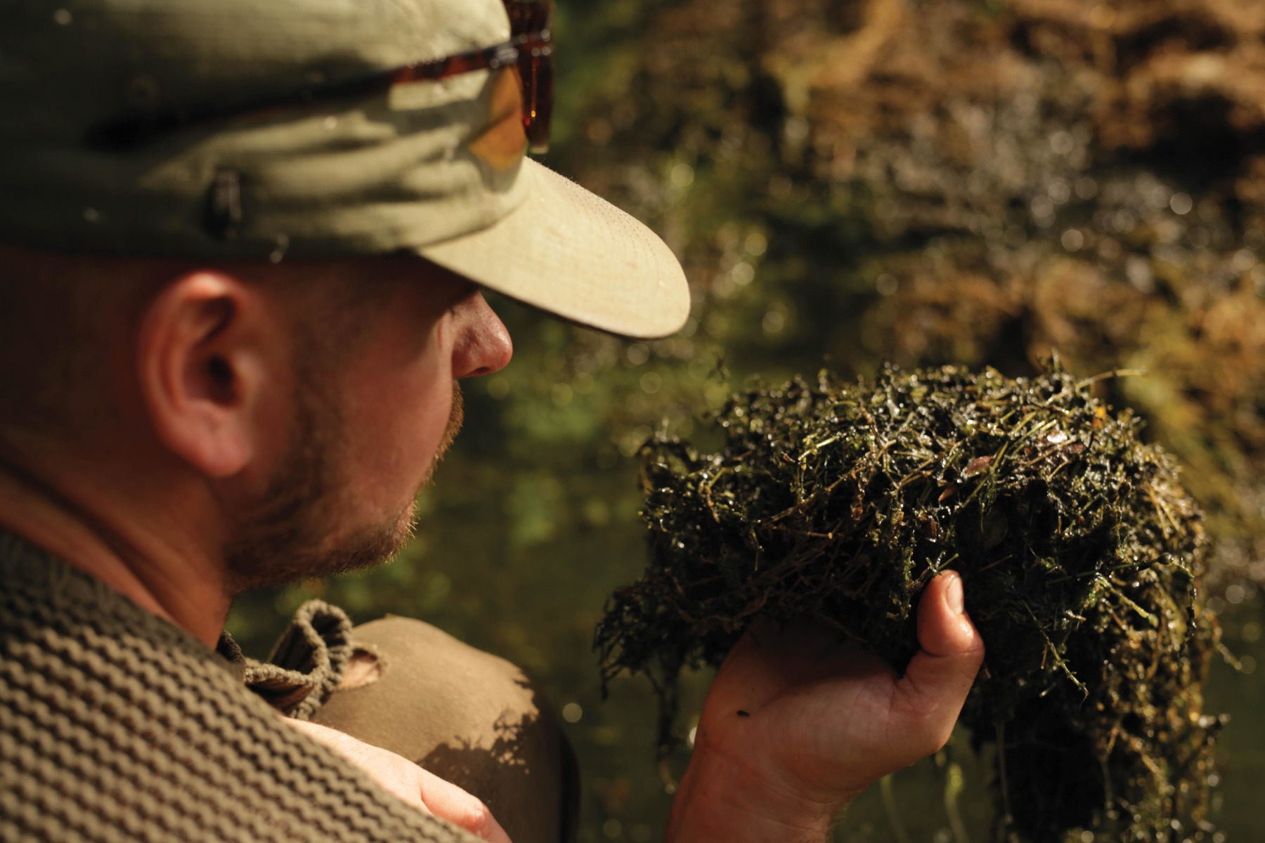 Weed! There was plenty of the green stuff in Shallow Pit 