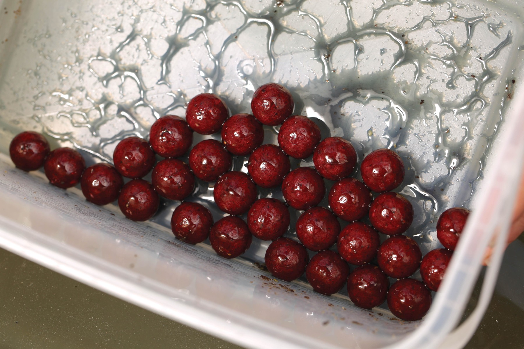 4. Roll the hookbaits around in the tub to give them all an even coating of liquid.