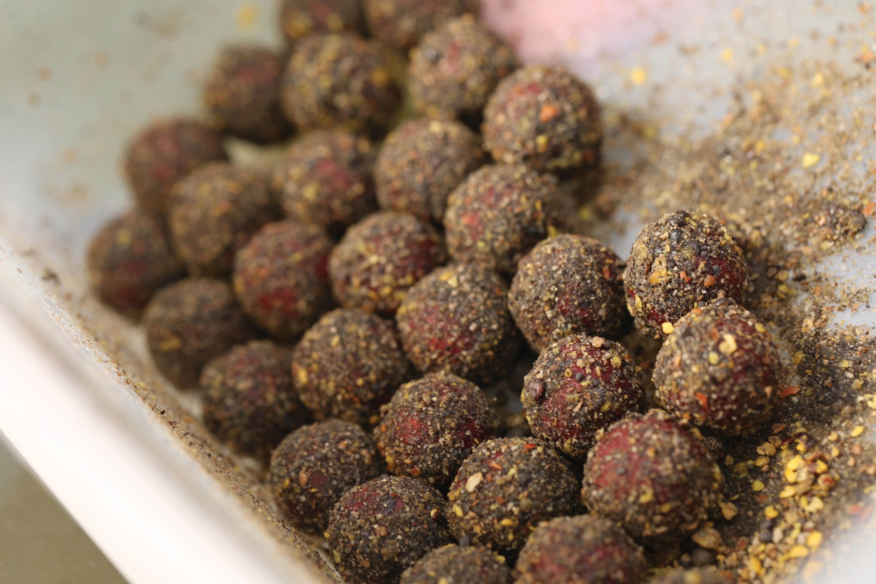 6. Again, roll the hookbaits around in the tub to give them all a groundbait coating. 