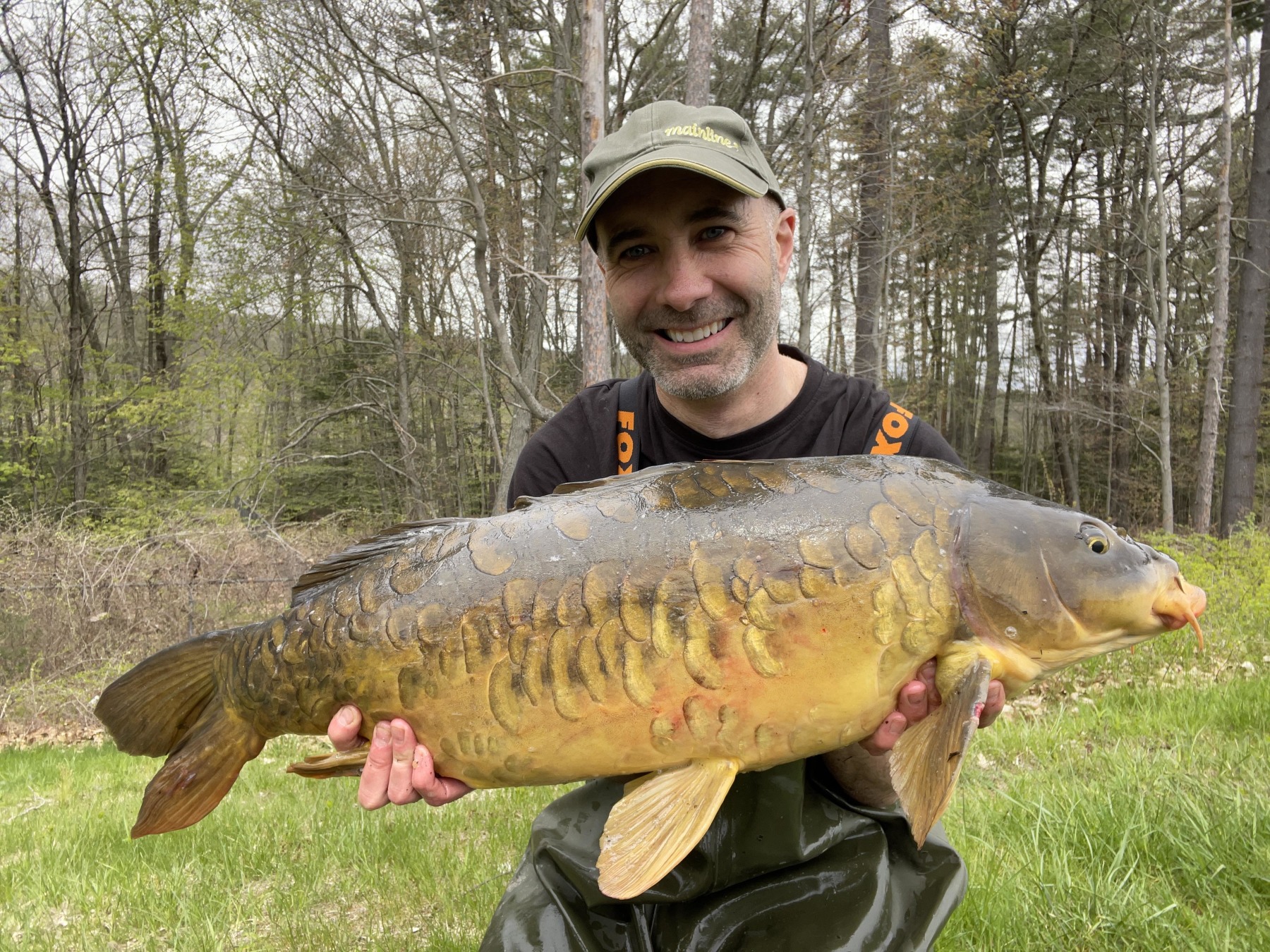Wild Mirror carp - A welcome return to the Connecticut River 