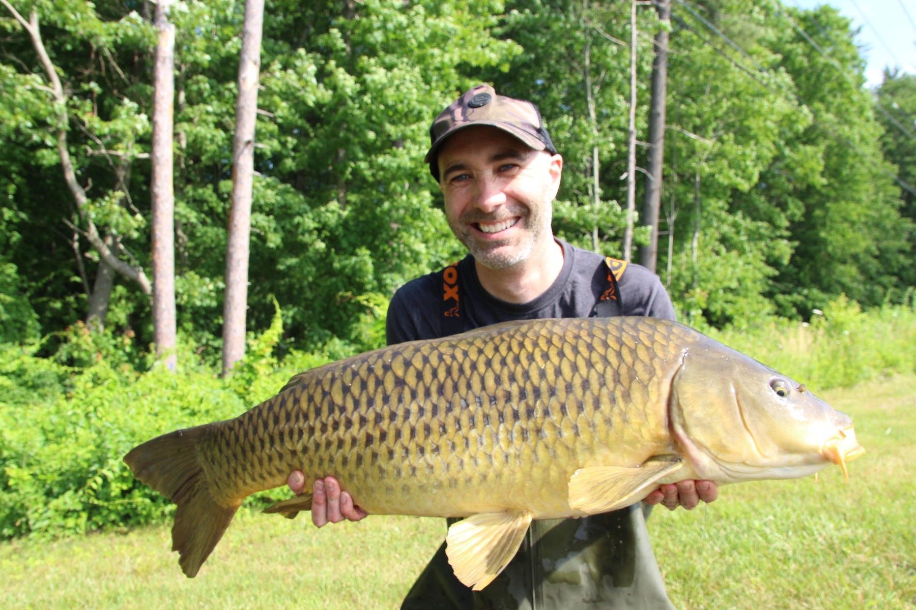 A long lean low thirty common from the CT river