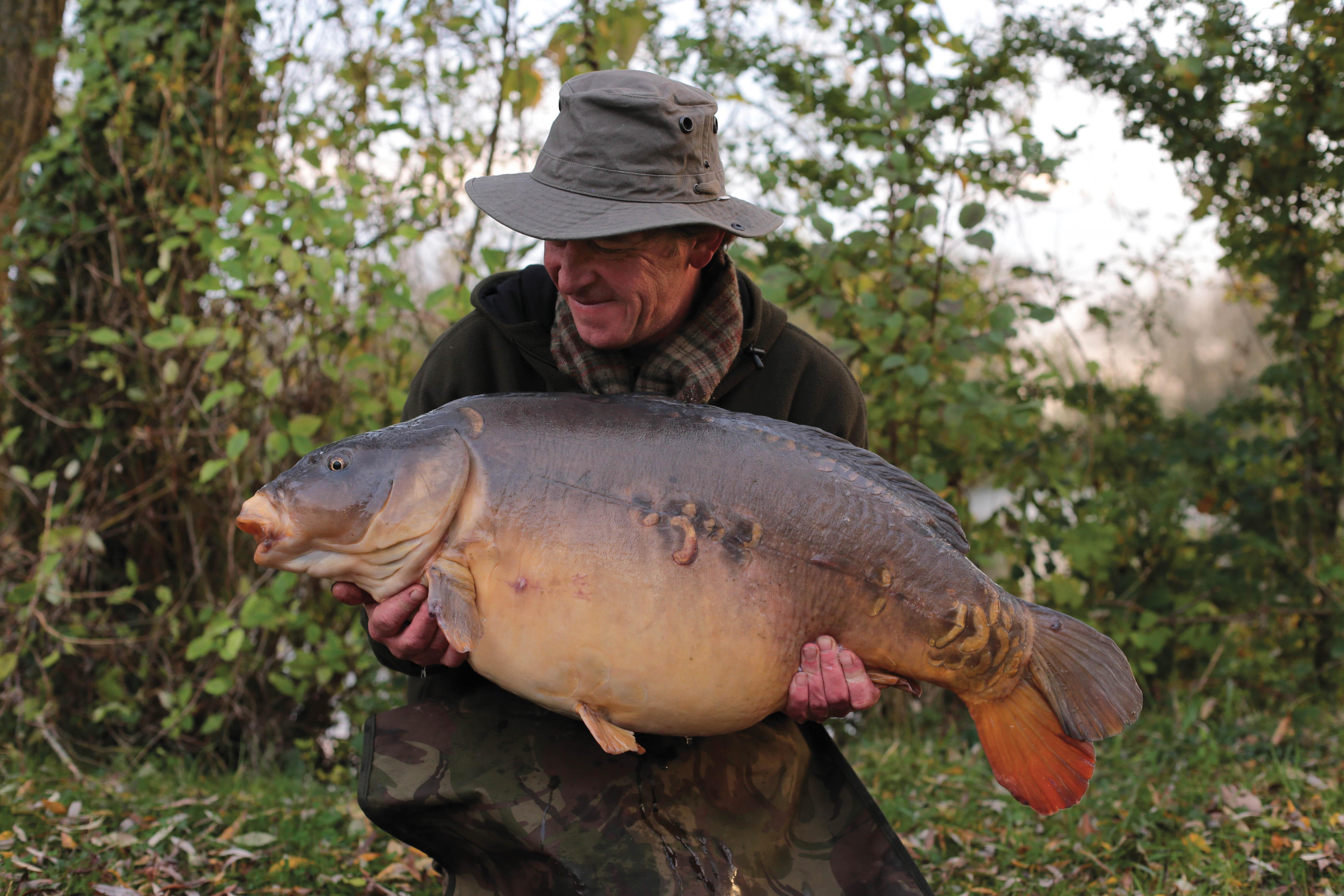 Baiting Needle Basics with Carpology Magazine 